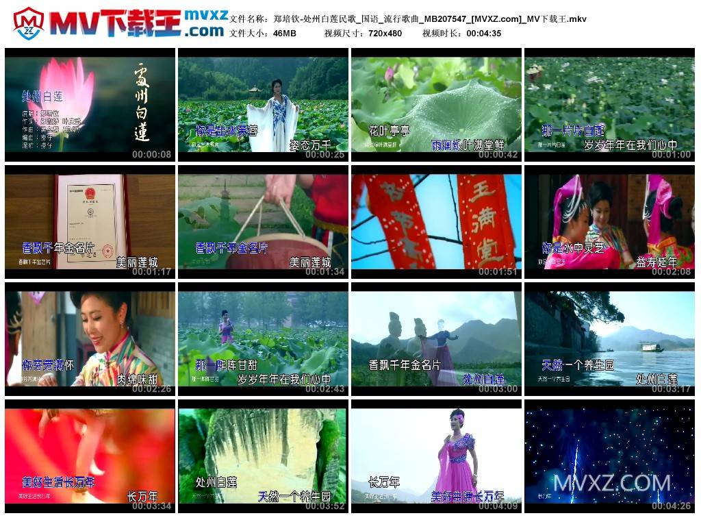 郑培钦-处州白莲民歌_国语_流行歌曲_MB207547